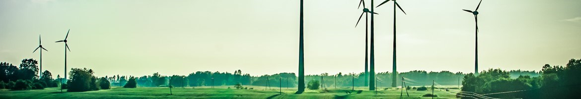Environment